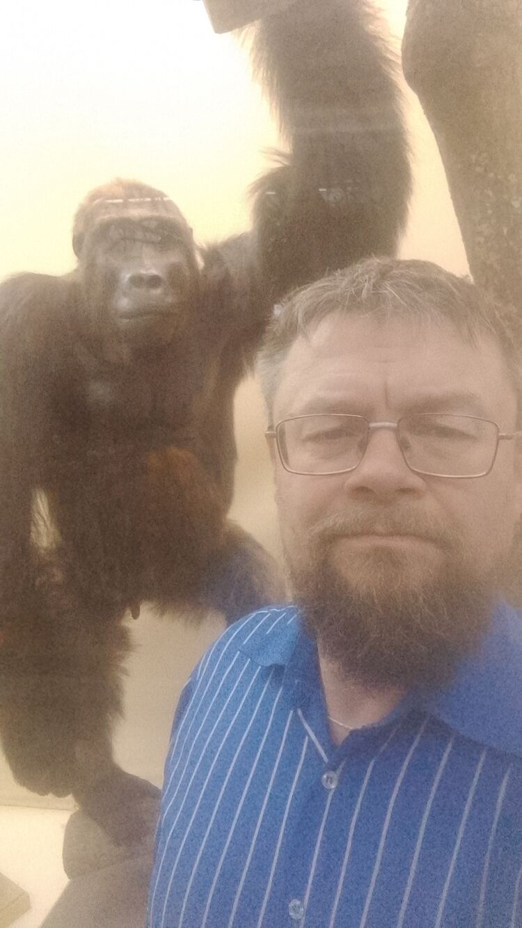  54717786  , 51 ,    -