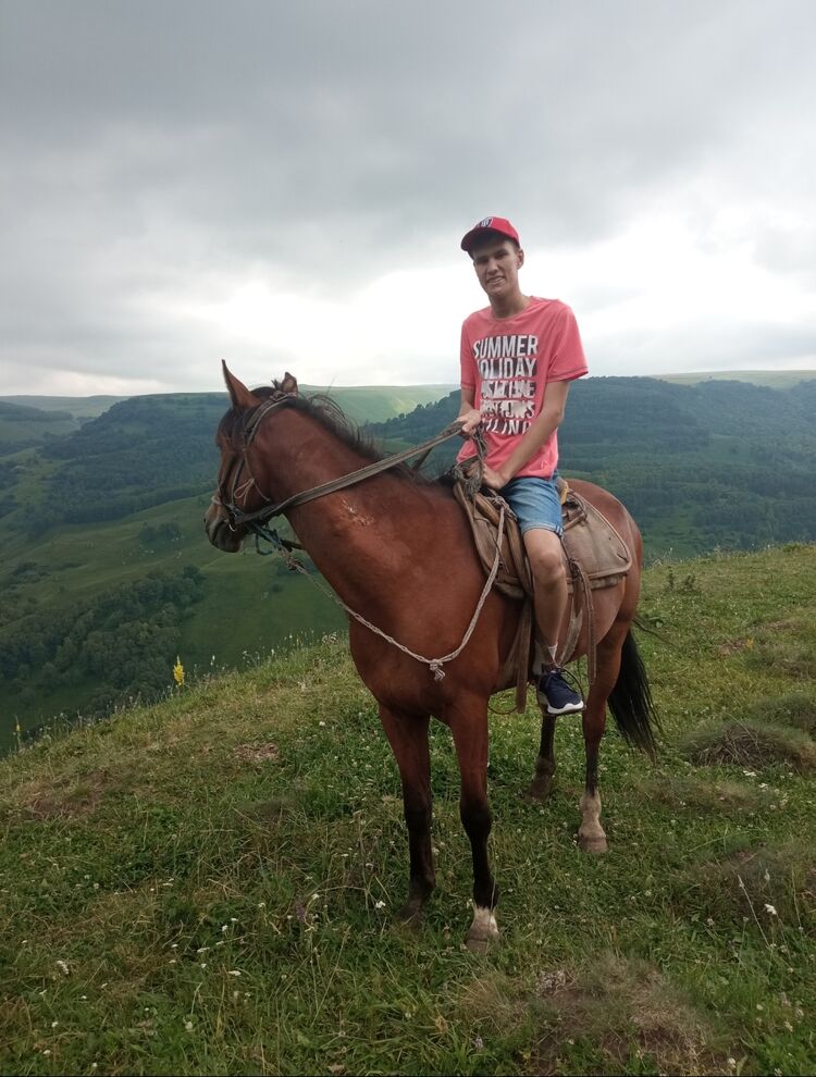 ���� 41646736 ����� �����, 20 ���, ���� ���������� � ������ ���������