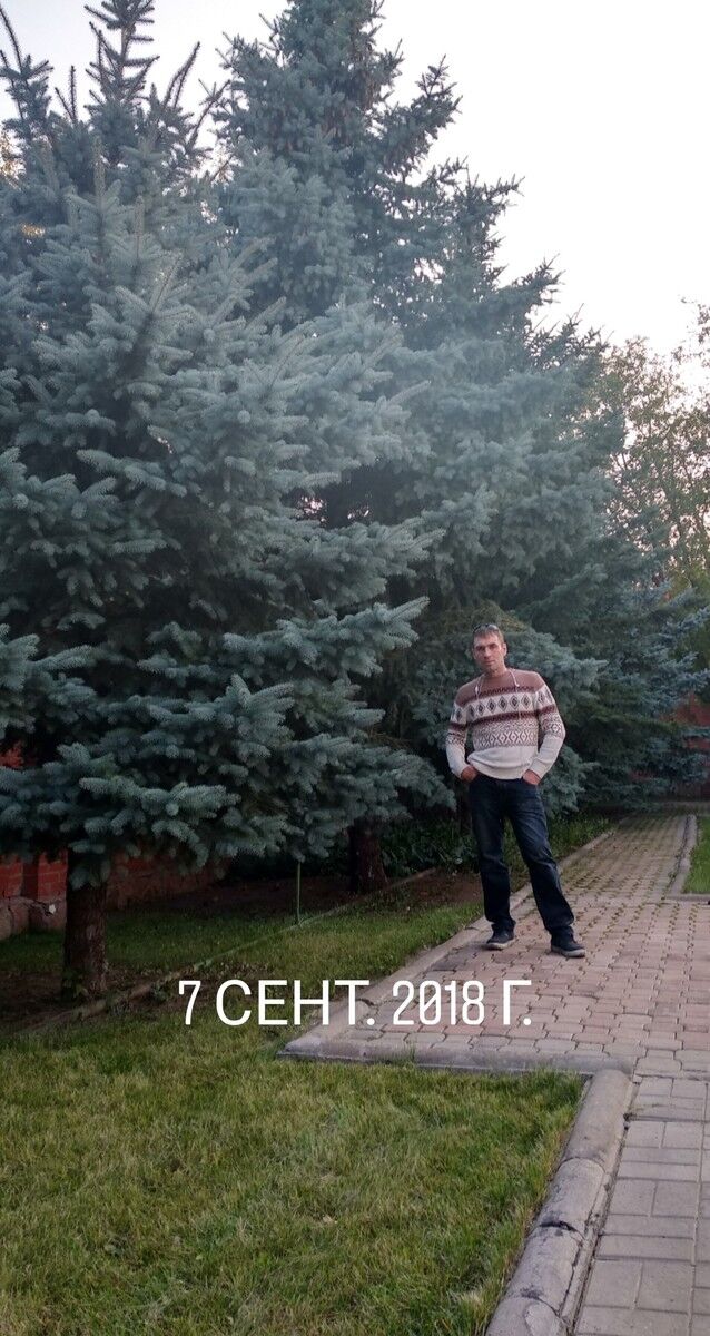 15457166  , 51 ,    
