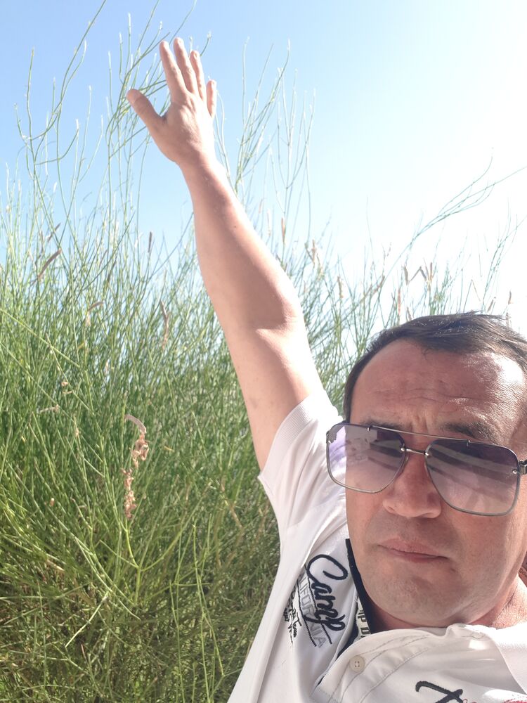  32308786  NUR, 52 ,    