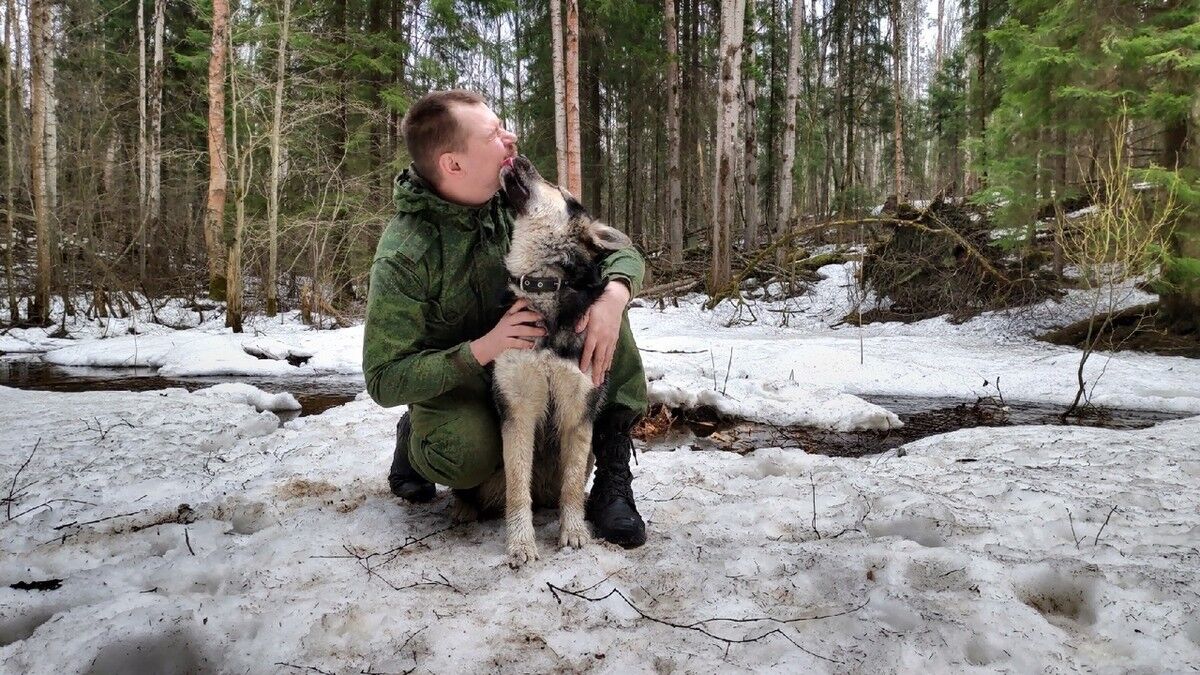  18898176  , 33 ,    -