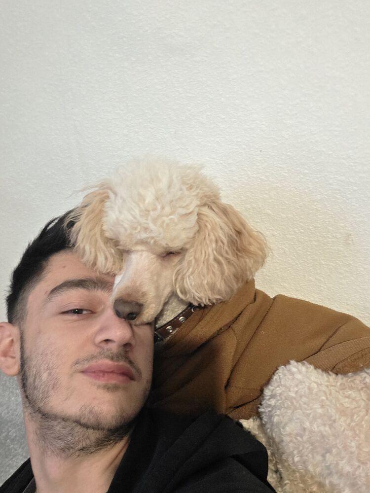 ���� 55082886 ����� �����, 25 ���, ���� ���������� � ����������