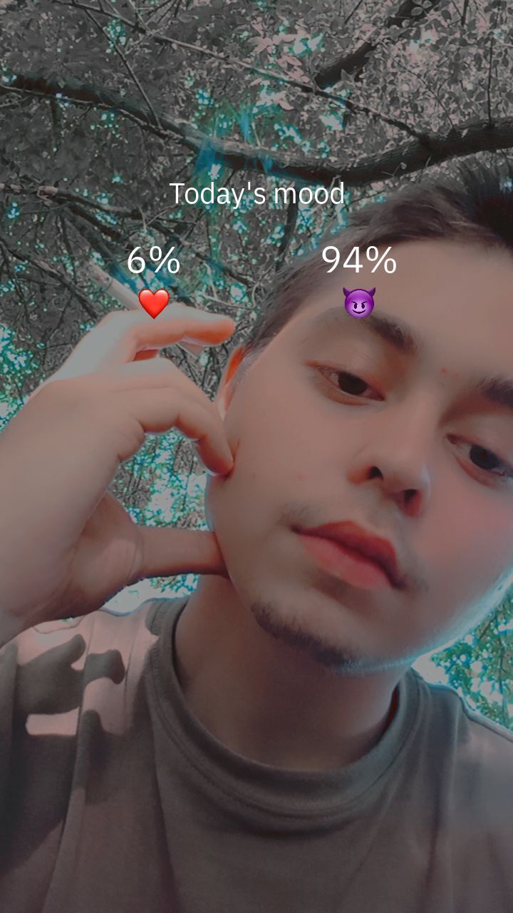  43882676  , 20 ,    