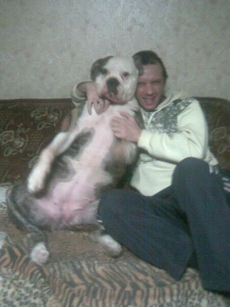 ���������� ����, ���� ������� ��������, 50 ���, ������������ ��� ������