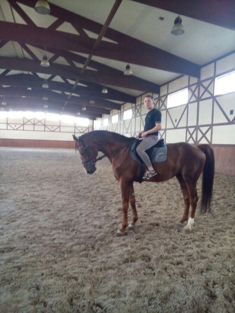  18937046  , 36 ,    -