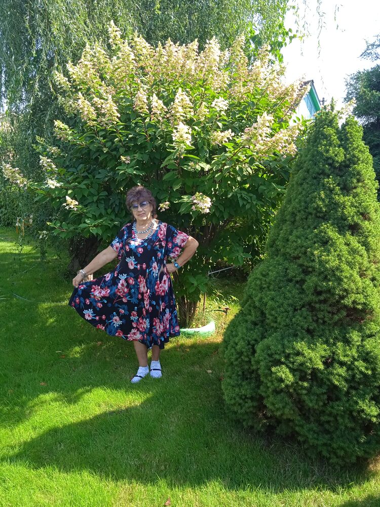 ���������� �����, ���� ������� ����, 66 ���, ������������ ��� ������, ����� � ���������