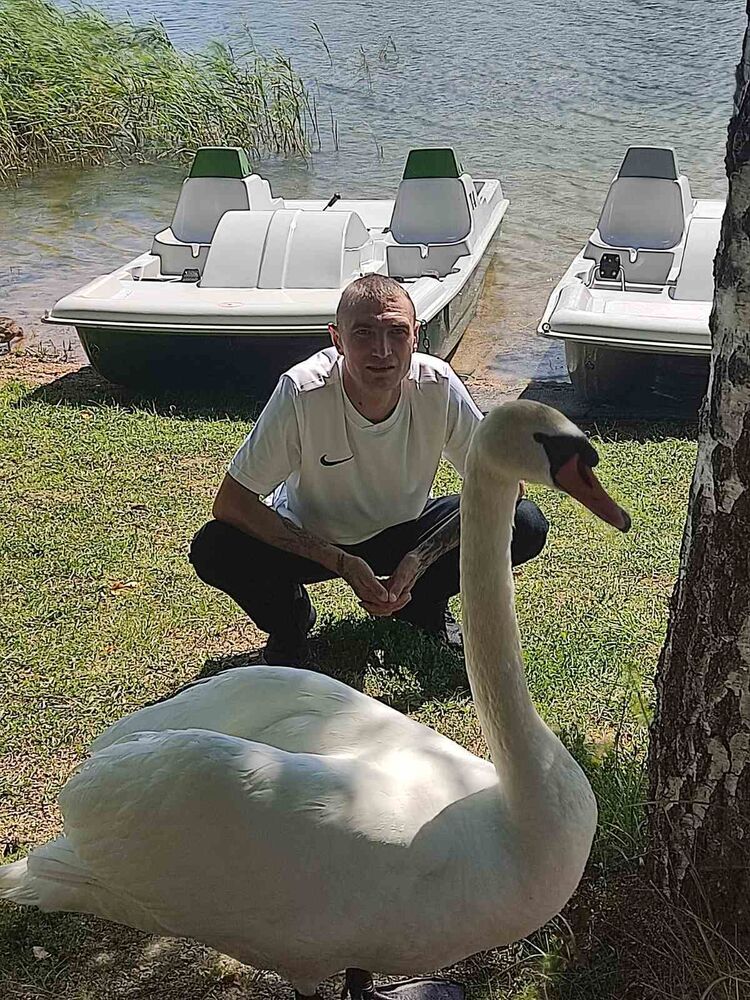 ���� 28394086 ������� ��������, 44 ����, ���� ���������� � ����