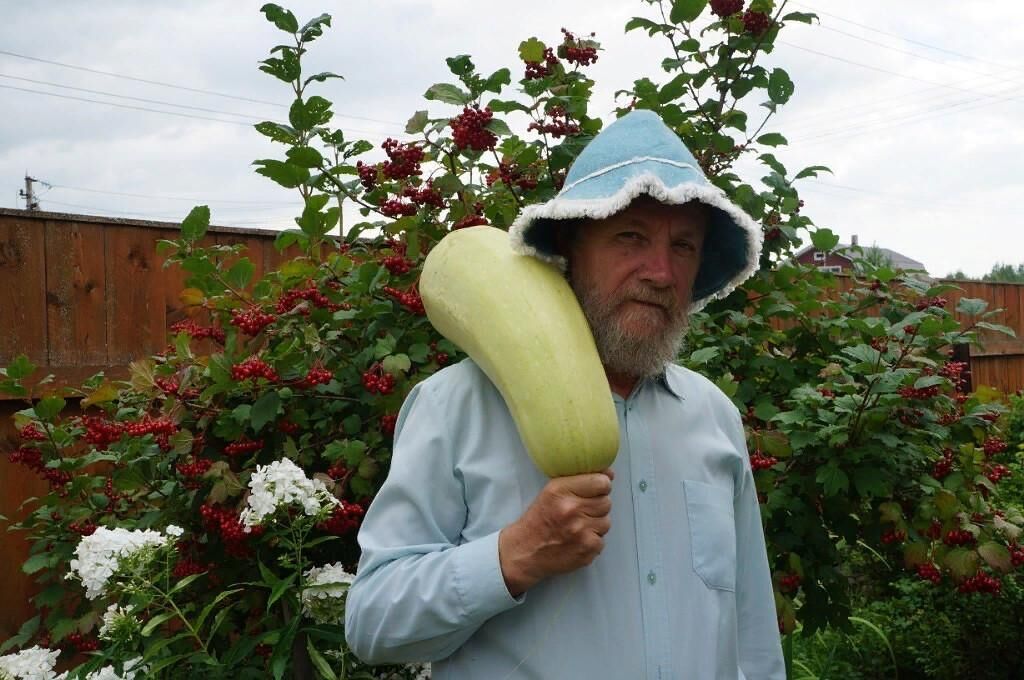  ,   , 77 ,  