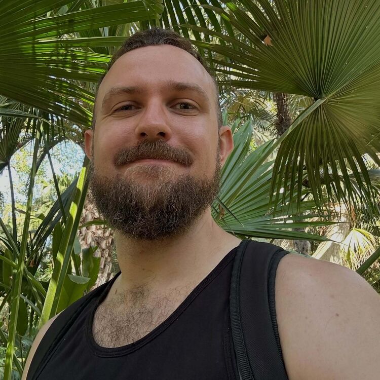 ���������� �����������, ���� ������� �������, 35 ���, ������������ ��� ������, ����� � ���������, c�������� ���������, ���������