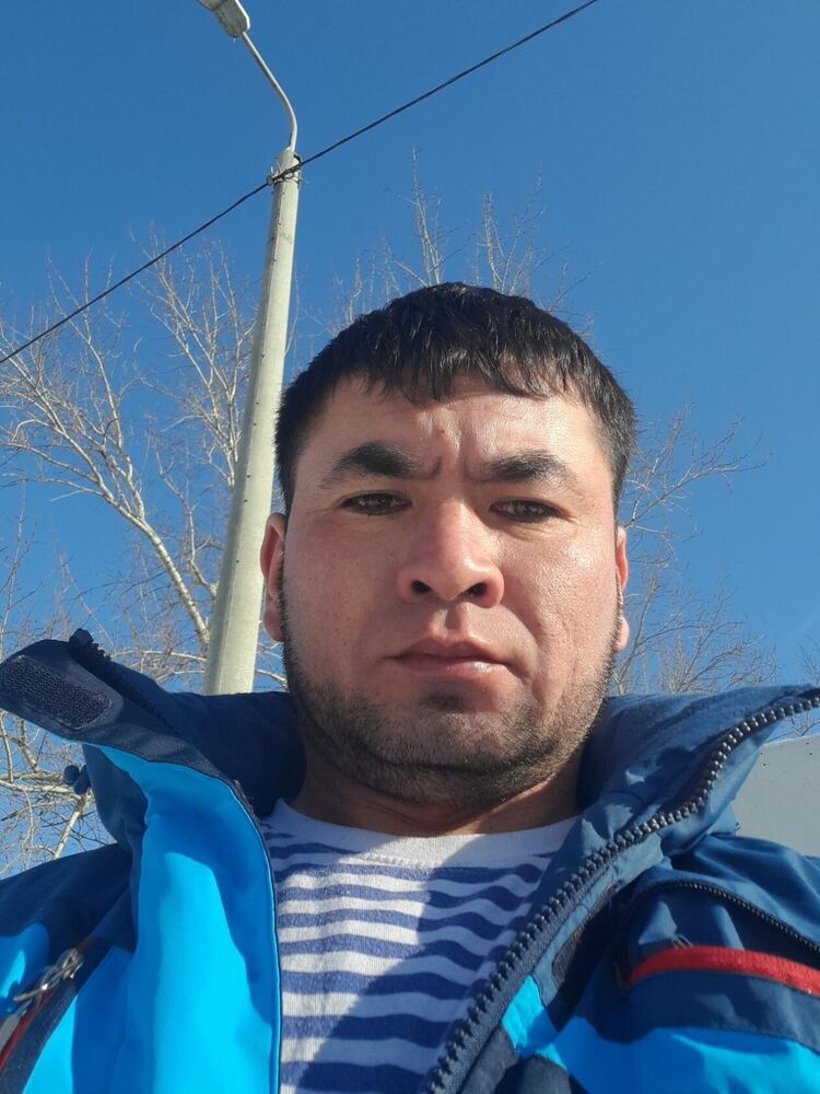  33269176  , 41 ,    