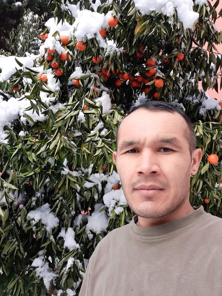  ,   Aslan, 37 ,   ,   , c 