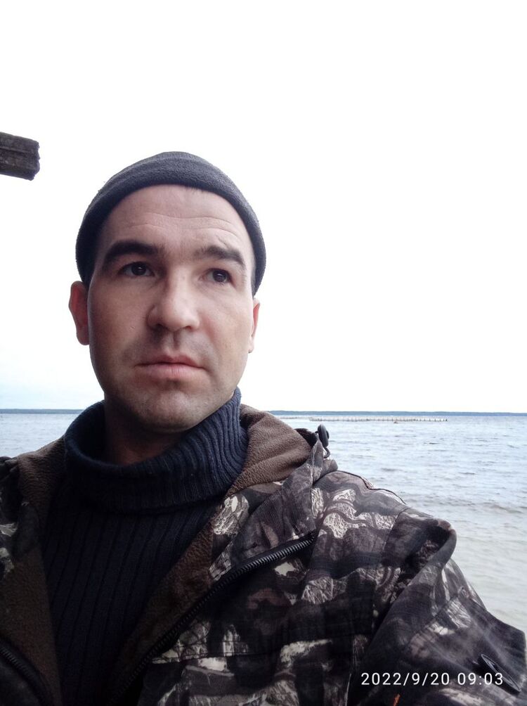  29413536  , 31 ,    -