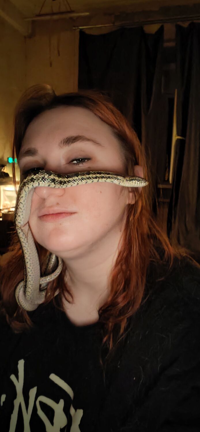 ���������� ���������, ���� ������� �����, 29 ���, ������������ ��� ������, ����� � ���������