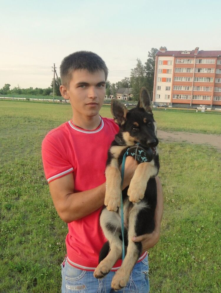  ,   Zhenya, 31 ,   ,   , c 