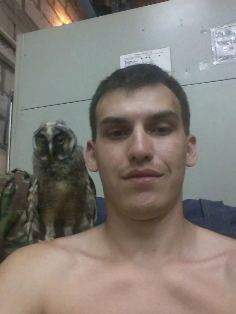 ���� 36420026 ������� �������, 33 ����, ���� ���������� � ��������