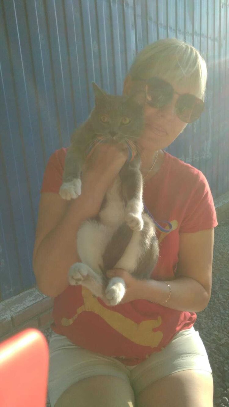 ���������� ����, ���� ������� �����, 42 ����, ������������ ��� ������, ����� � ���������