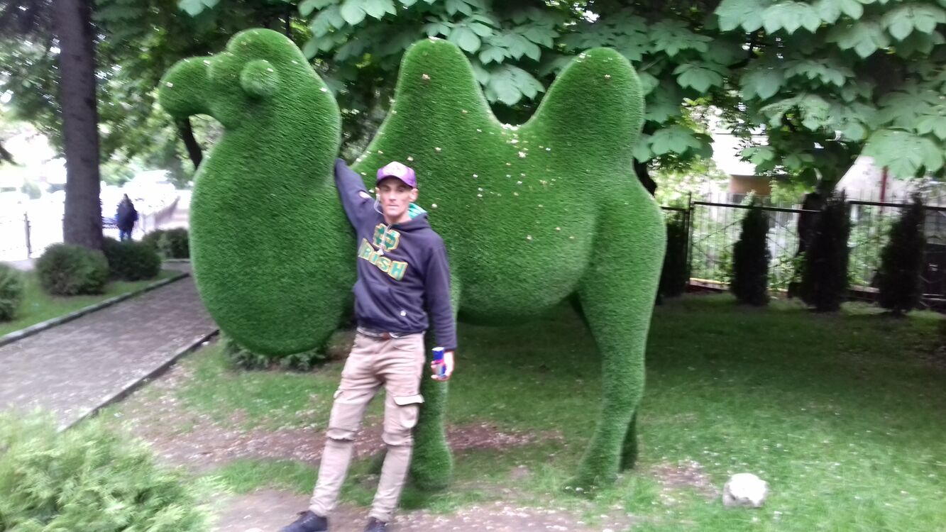 ���������� ���������, ���� ������� ������, 35 ���, ������������ ��� ������, ����� � ���������