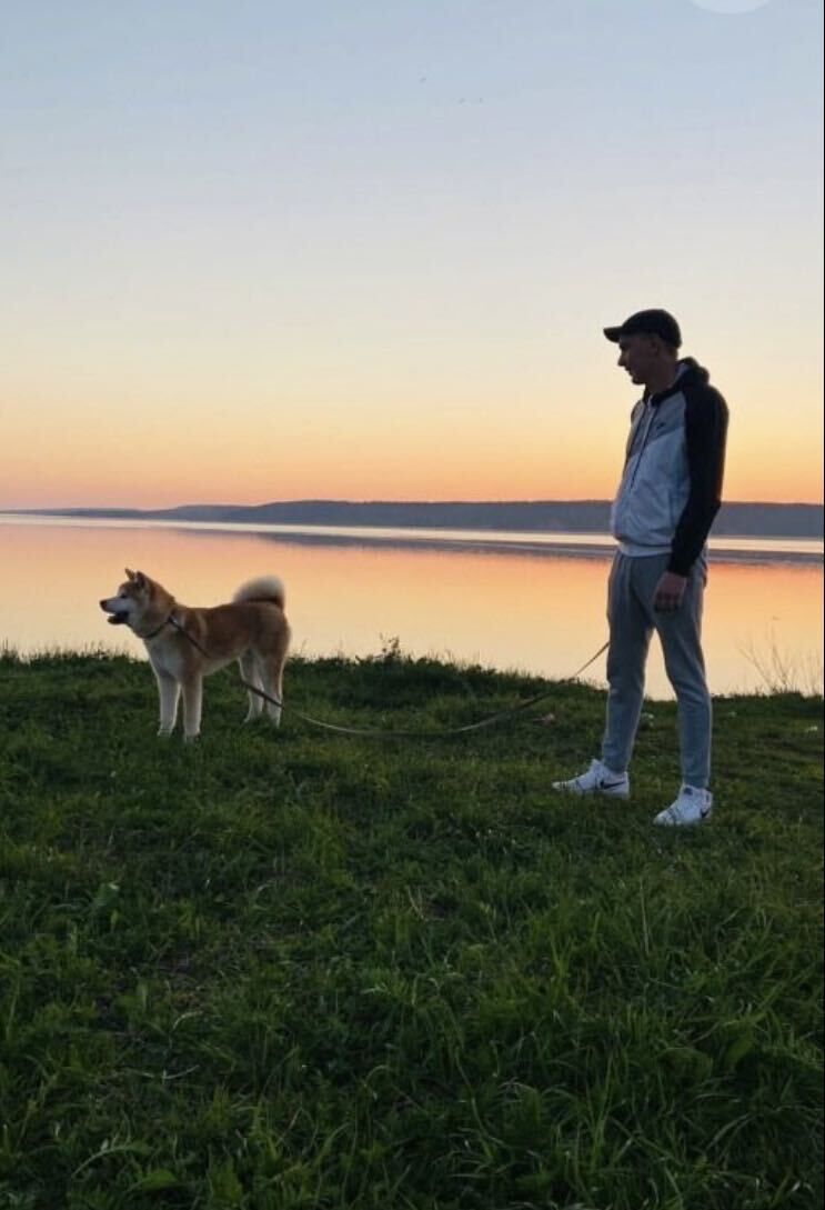 ���� 31306606 ������� ����, 27 ���, ���� ���������� � �����