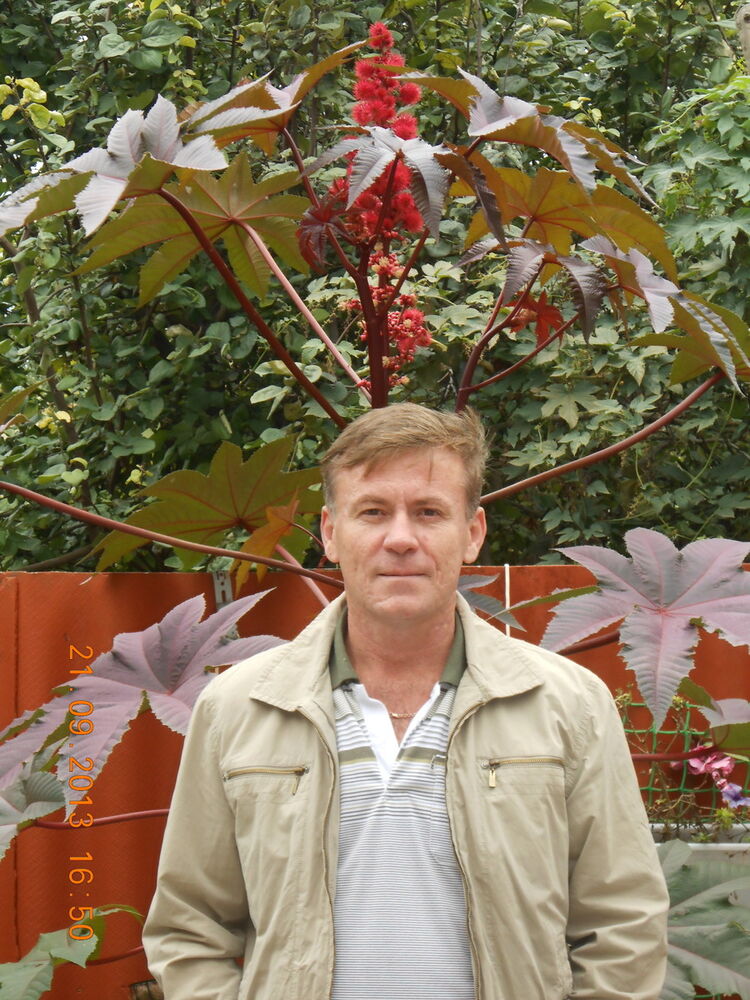  ,   , 55 ,   