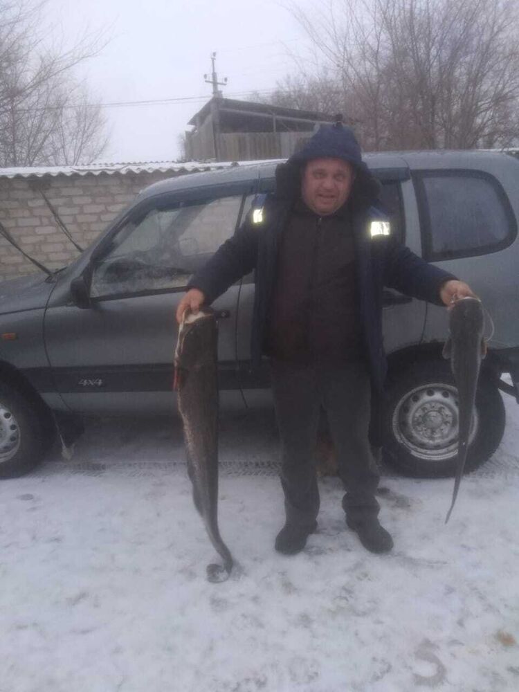 ���� 26423996 ������� �������, 50 ���, ���� ���������� � ����������