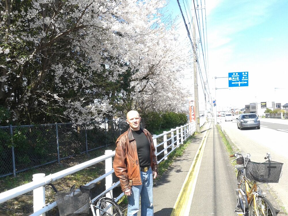 ���������� �����������, ���� ������� �������, 50 ���, ������������ ��� ������, ����� � ���������, c�������� ���������