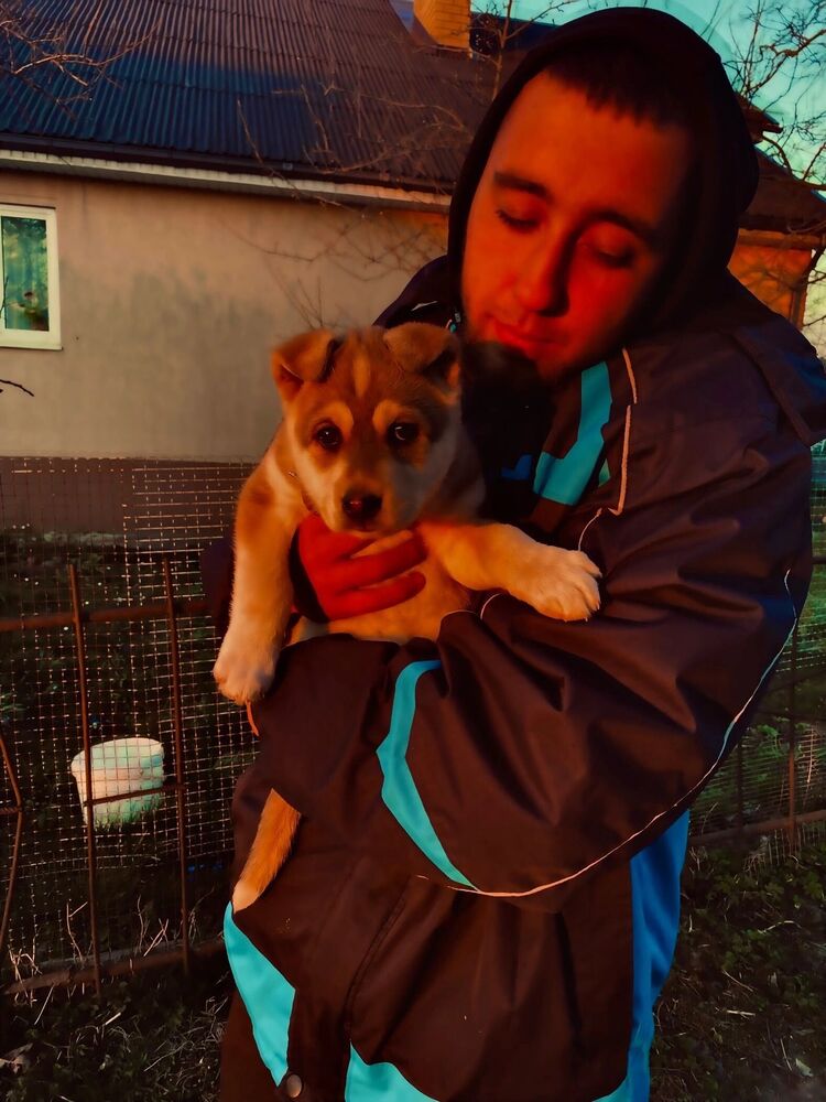  ,   , 21 ,   c 