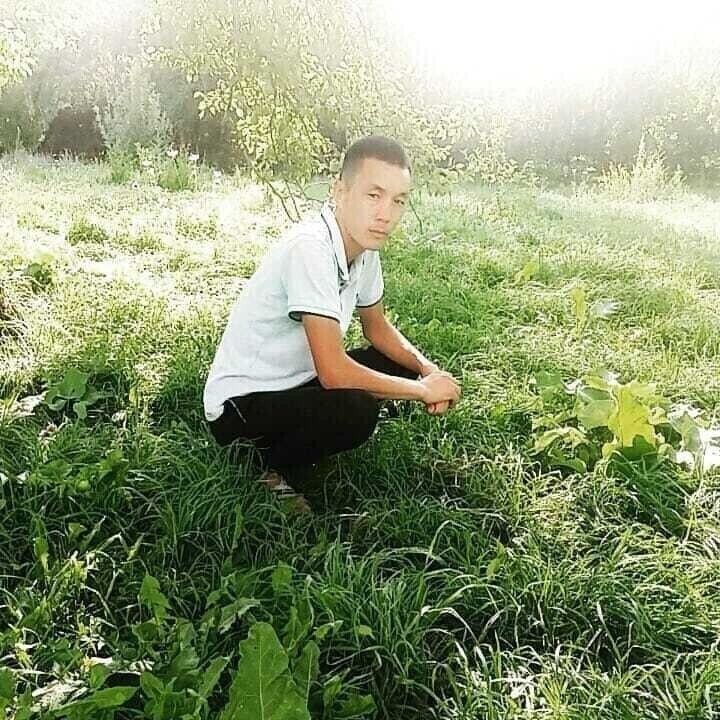  21239456  , 40 ,    