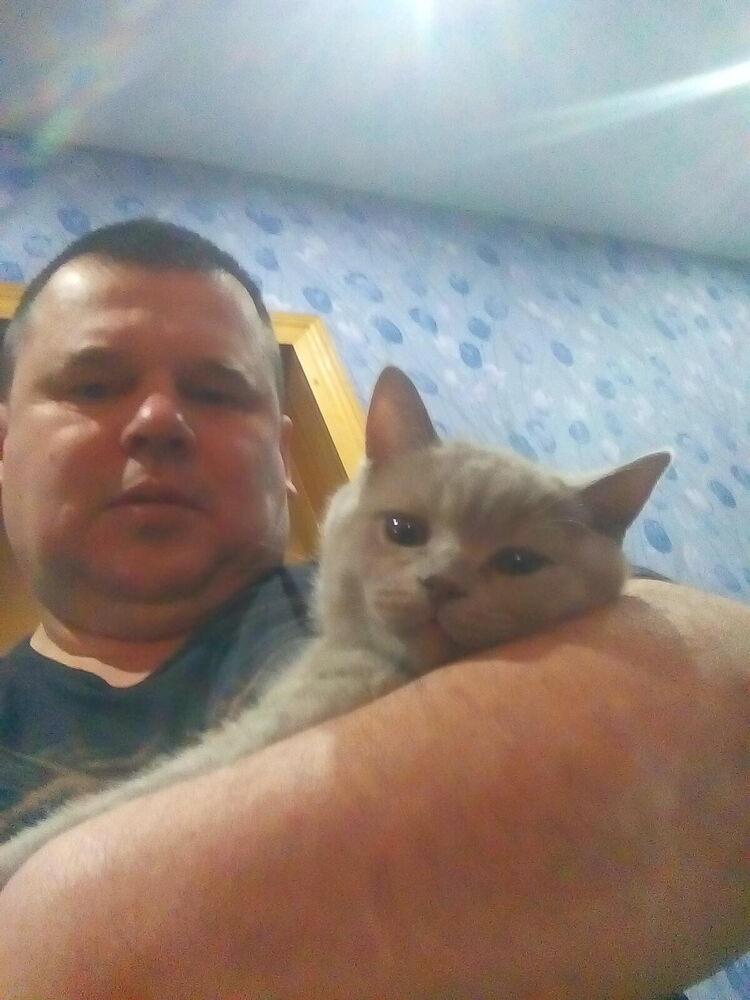  53530656  Sasha, 47 ,    