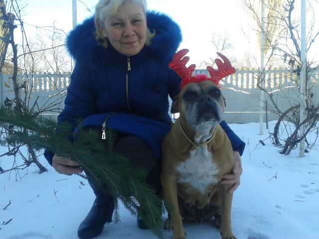 ���� 49685516 ������� �����, 63 ����, ���� ���������� � �����������