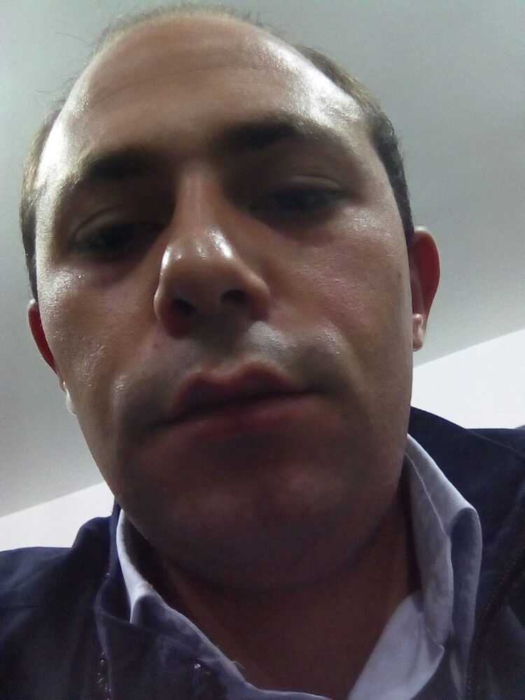  ,   Gulo, 33 ,   ,   , c 