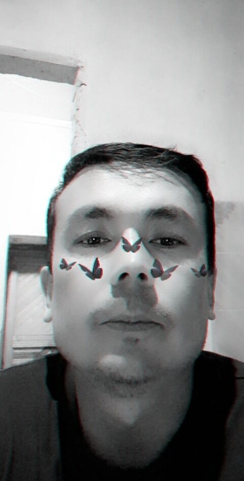  -,   , 39 ,   ,   , c , 