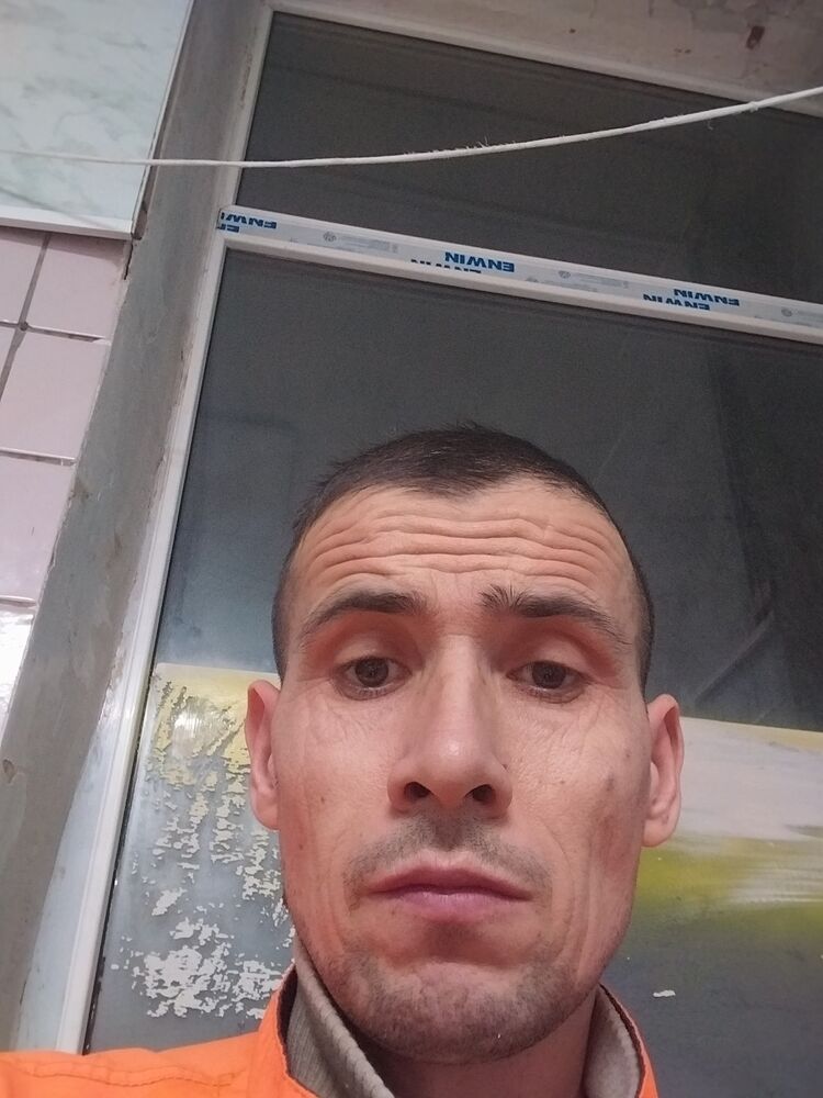  48302716  , 43 ,     