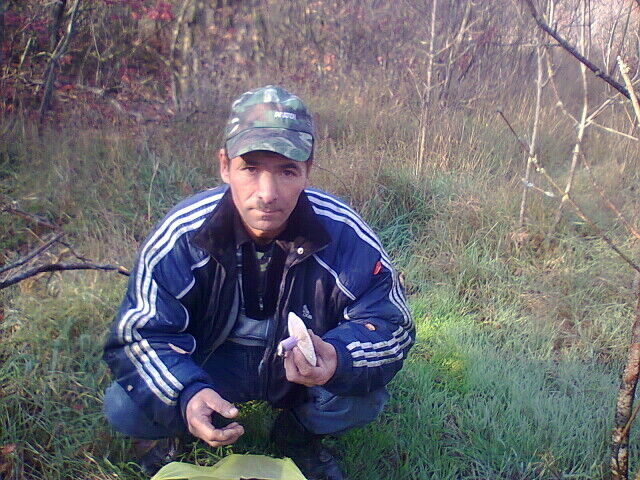 ���� 24208886 ������� �����������, 62 ����, ���� ���������� � ������