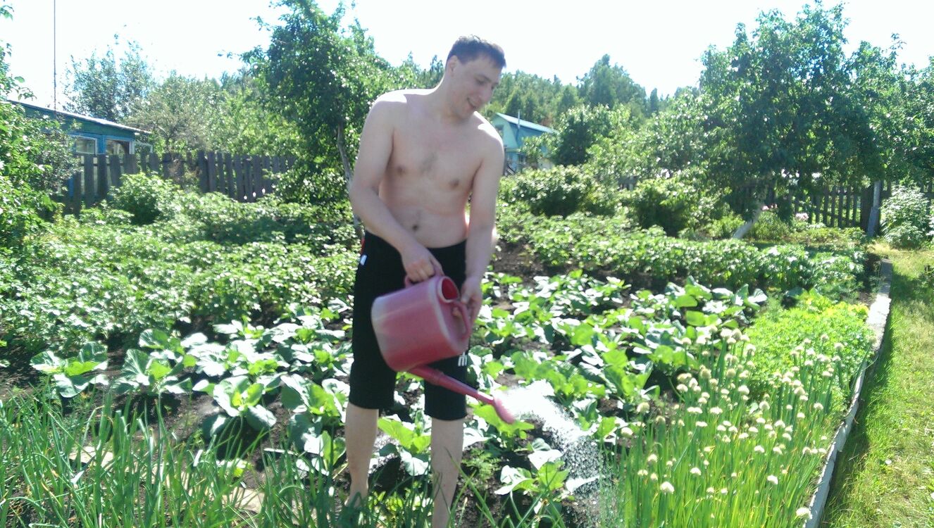 ���� 24394336 ������� Cergey, 43 ����, ���� ���������� � �����������