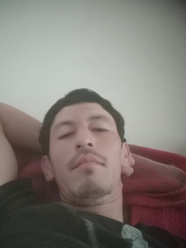 ���� 25963346 ������� ��������, 32 ����, ���� ���������� � ��������