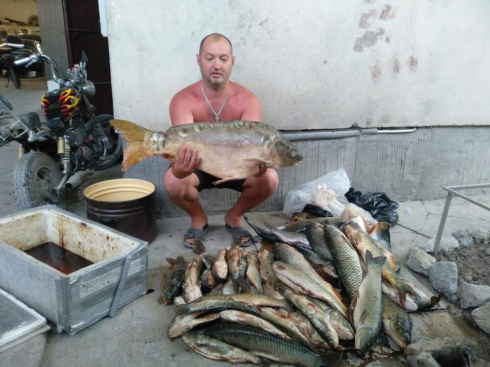 ���������� �����������, ���� ������� ������, 47 ���, ������������ ��� ������, ����� � ���������, c�������� ���������, ���������