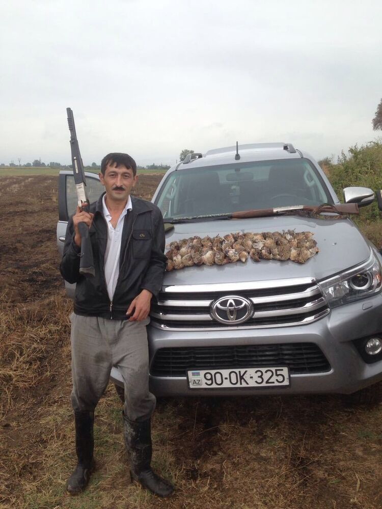  ,   Zaur, 44 ,   