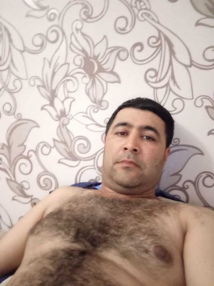 53687886  , 36 ,     