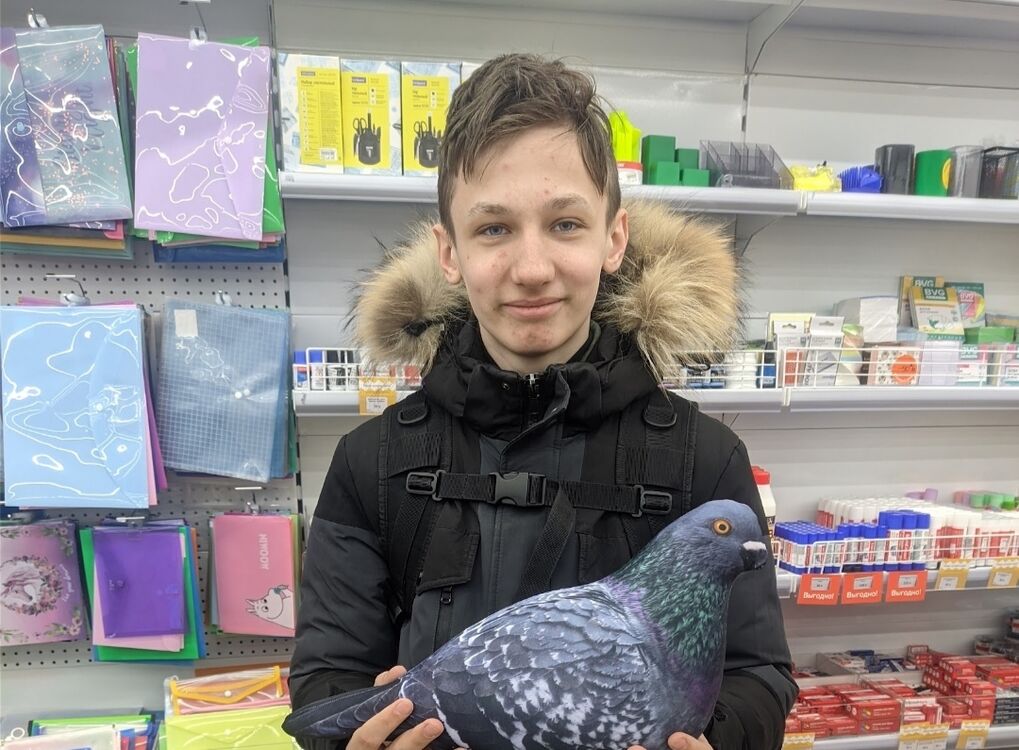 ���� 33448536 ����� ������, 22 ����, ���� ���������� � ������������-��-�����