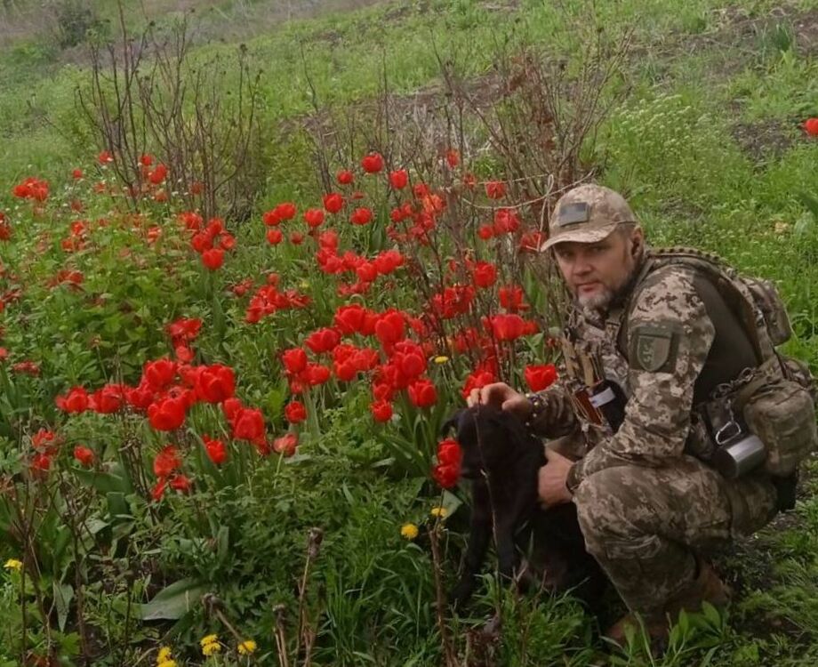 ���� 55237426 ������� SERHII, 45 ���, ���� ���������� � �����