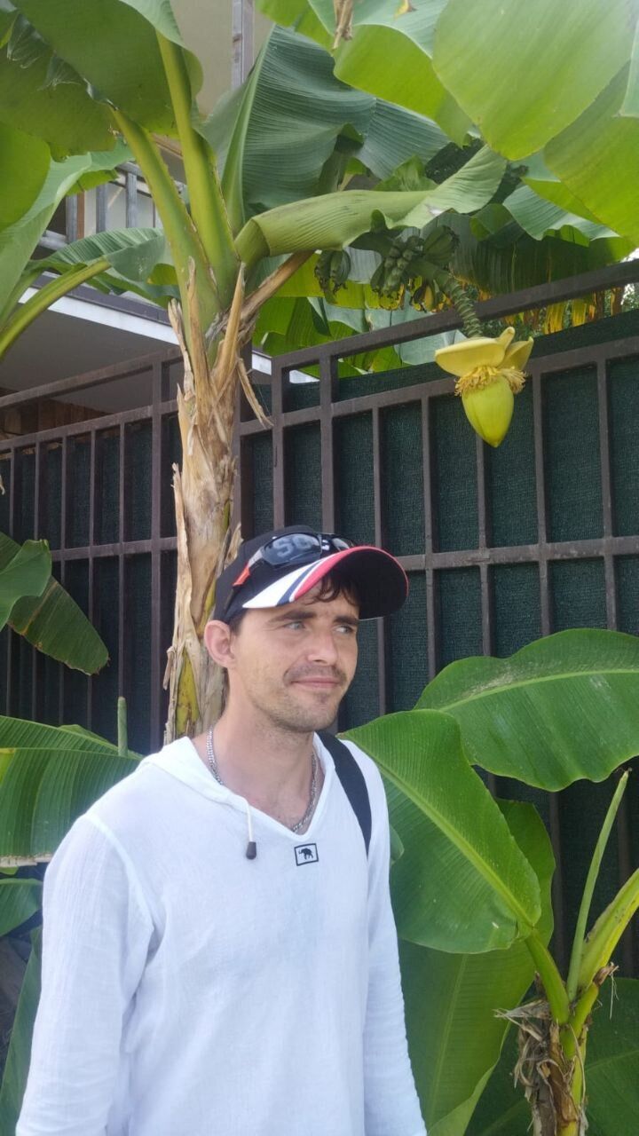 ���� 49838446 ������� ����, 34 ����, ���� ���������� � ����������