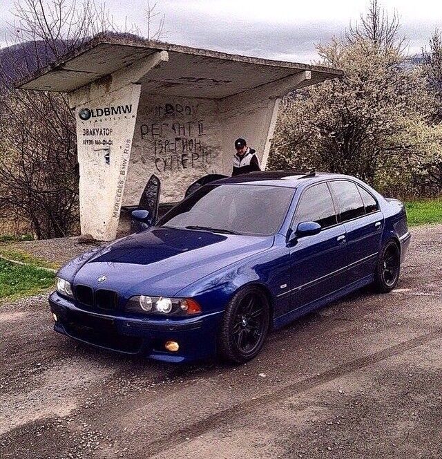 ���� 10156106 ������� ����, 36 ���, ���� ���������� � �������