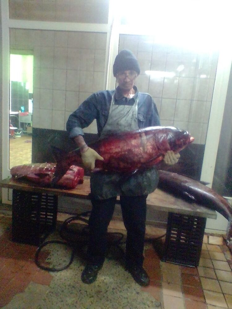  30830846  , 54 ,    