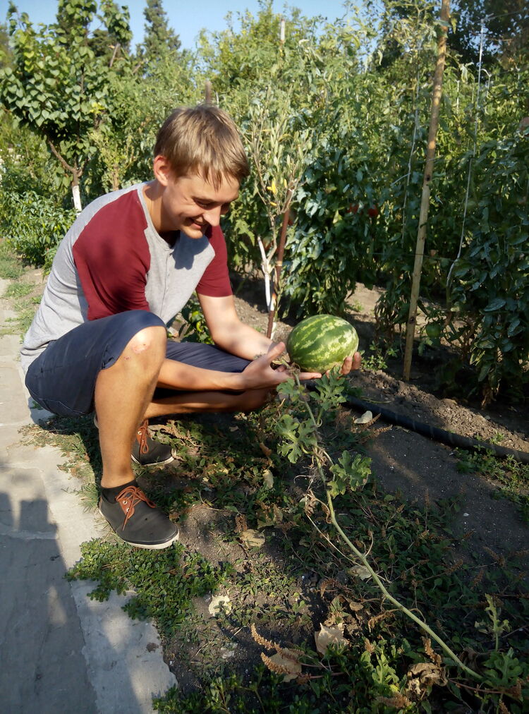 ���������� �����������, ���� ������� ����, 33 ����, ������������ ��� ������, ����� � ���������