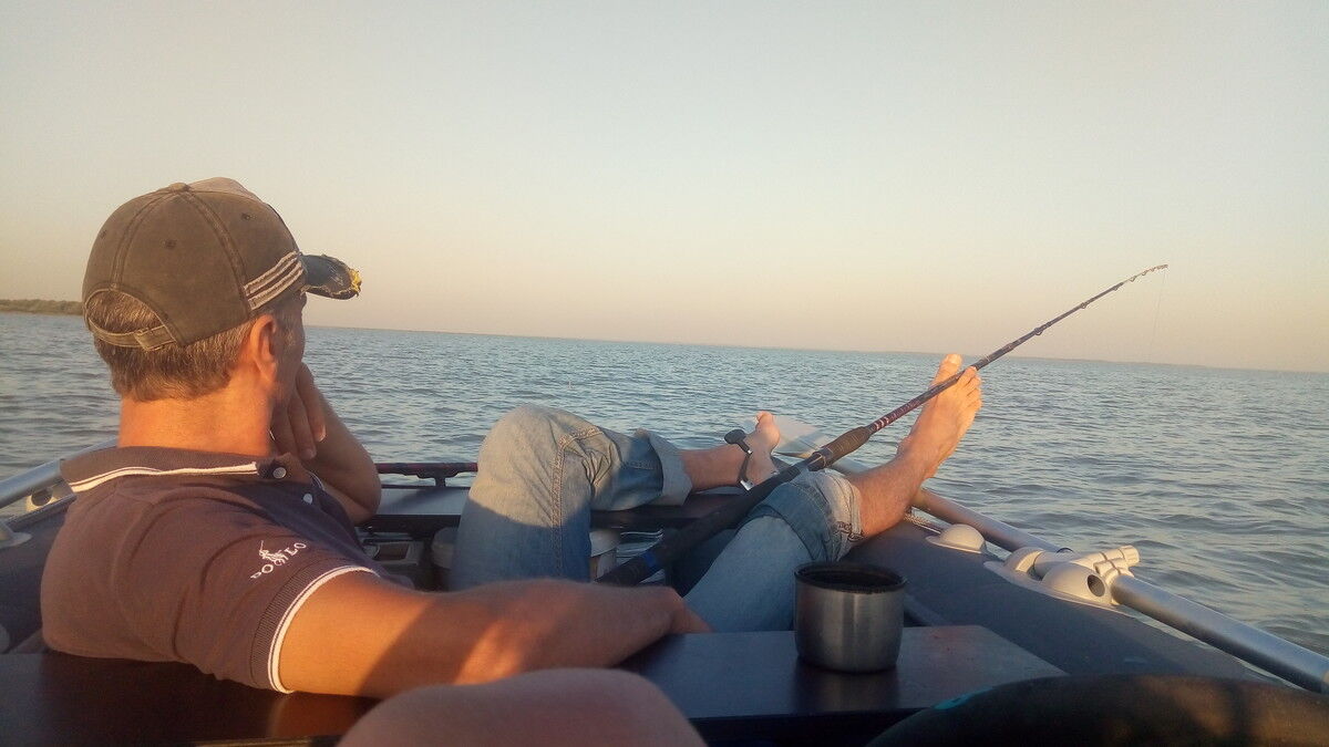 ���� 19498116 ������� ���������, 54 ����, ���� ���������� � ����������