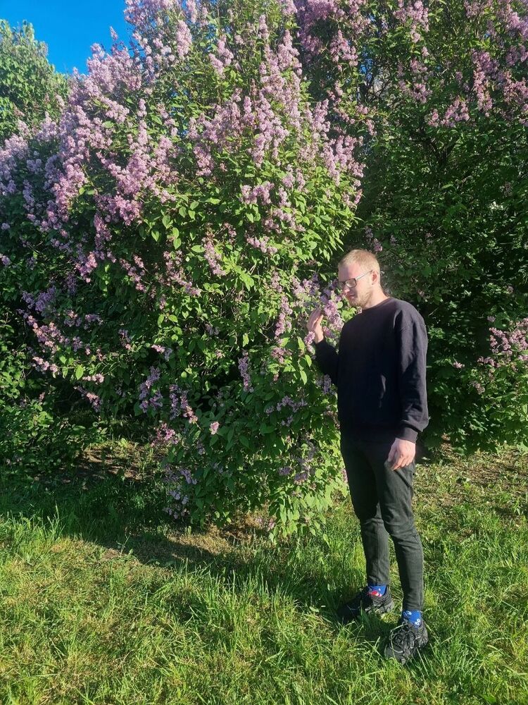  -,   , 29 ,   ,   
