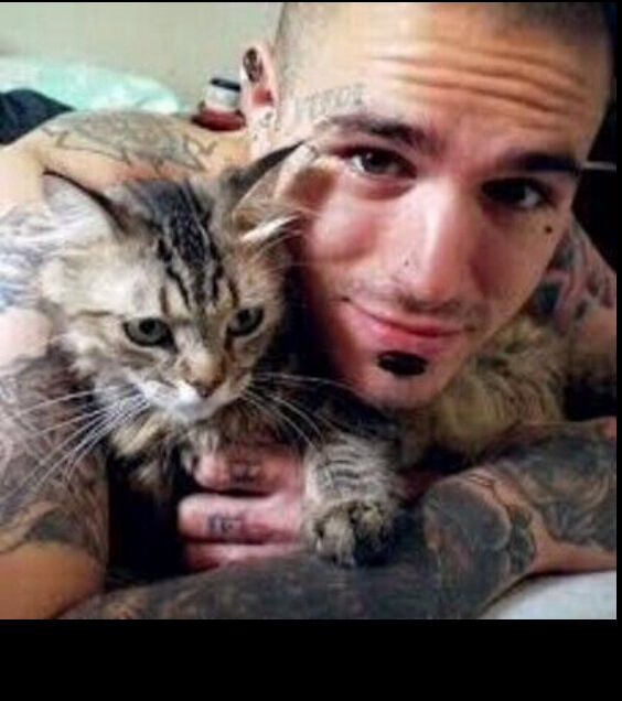 ���� 28652316 ������� Vlad, 30 ���, ���� ���������� � �����