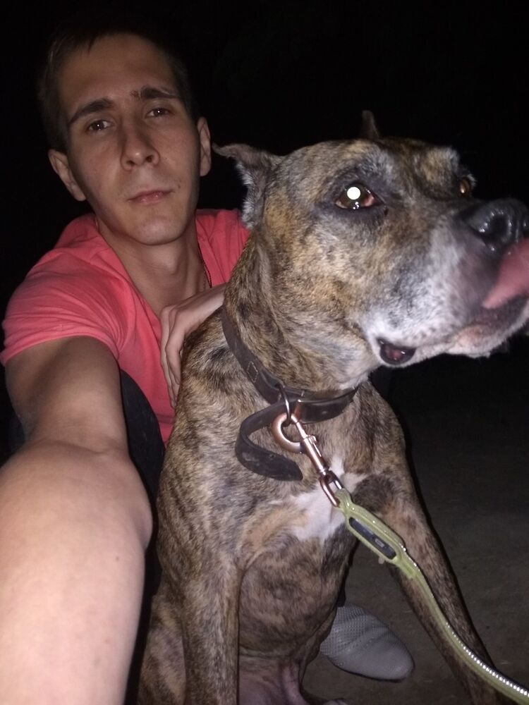 ���������� �������, ���� ������� ����, 32 ����, ������������ ��� ������, ����� � ���������, c�������� ���������