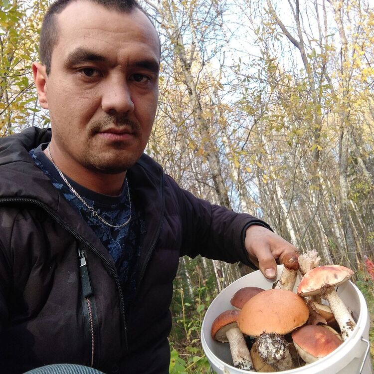 ���� 39605846 ������� �����, 33 ����, ���� ���������� � �����