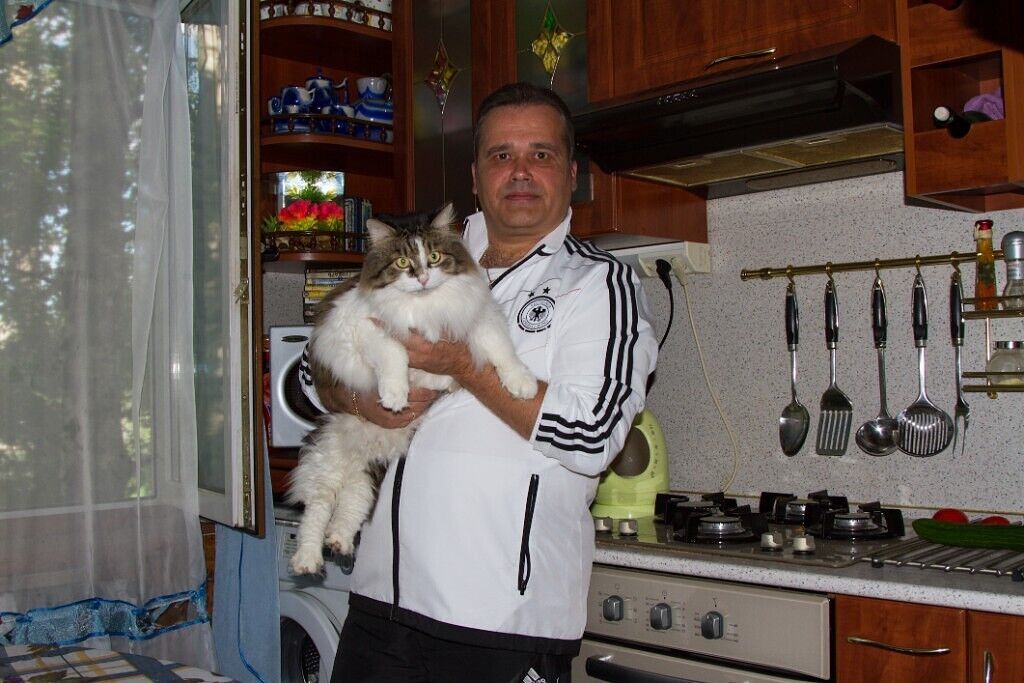  -,   , 50 ,   ,   , 